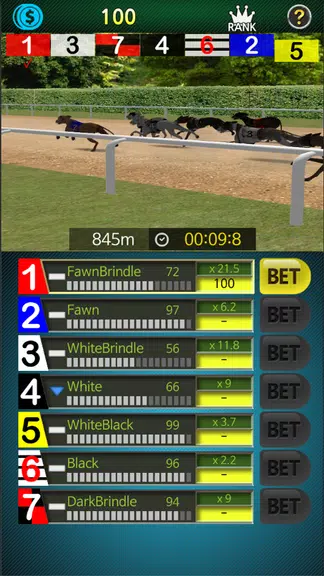 Pick Dog Racing  Screenshot 3