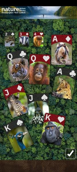 FLICK SOLITAIRE - FLICKING GREAT NEW CARD GAME  Screenshot 5