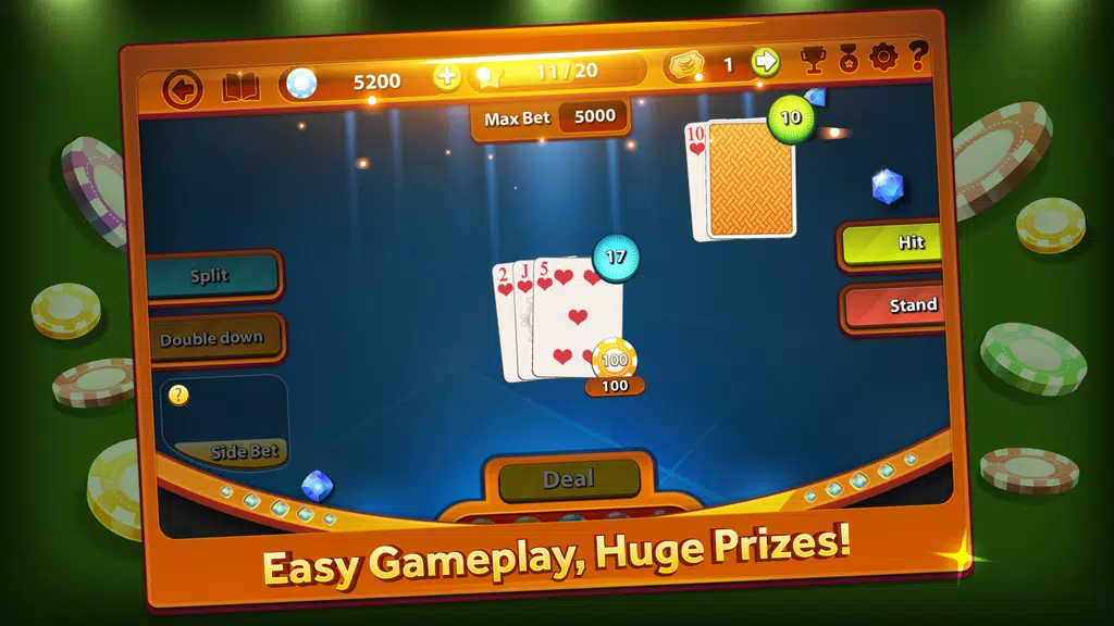 Blackjack Professional  Screenshot 2