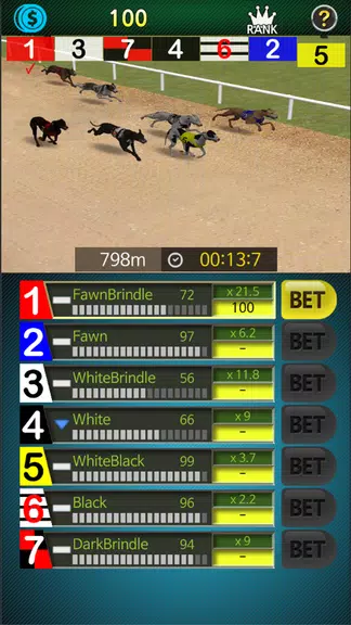 Pick Dog Racing  Screenshot 4