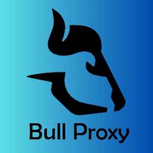 BULL VPN APK