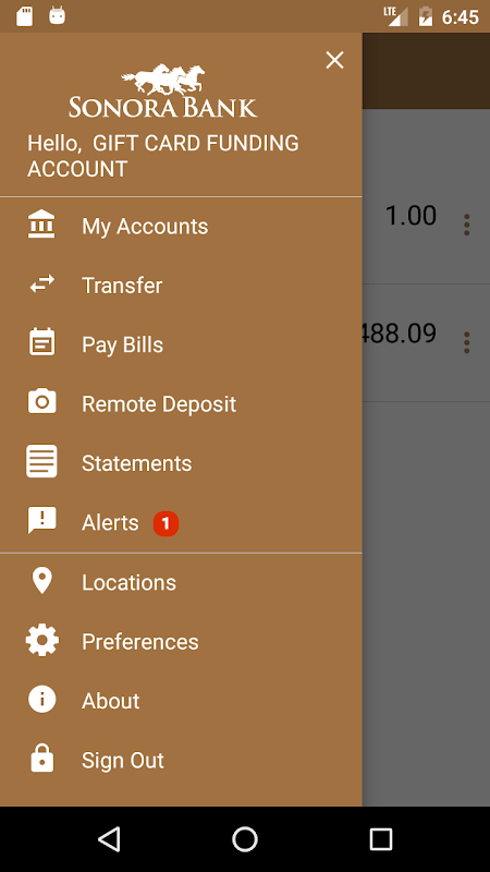 Sonora Bank Mobile  Screenshot 1