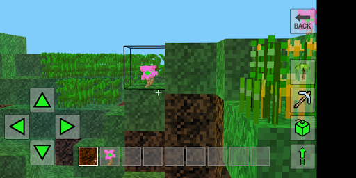 MiniCraft  Screenshot 3