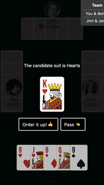 Euchre Card Game  Screenshot 2