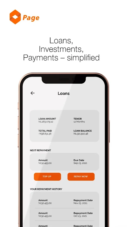 Page Financials  Screenshot 4