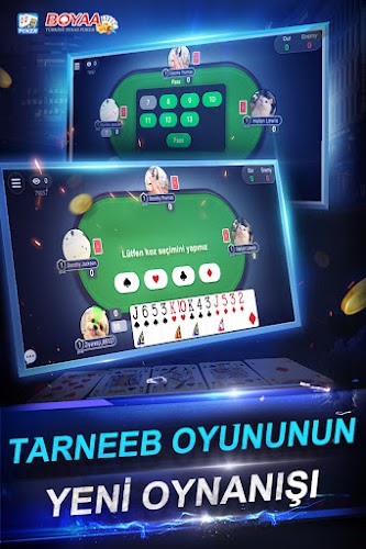 Türkiye Texas Poker  Screenshot 2