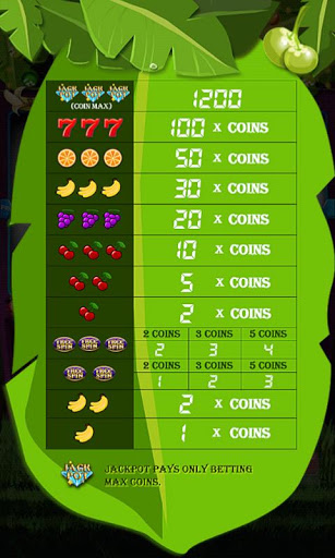 Slot Machines  Screenshot 4