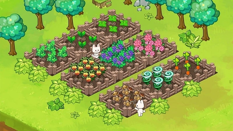 Animal Camp  Screenshot 4