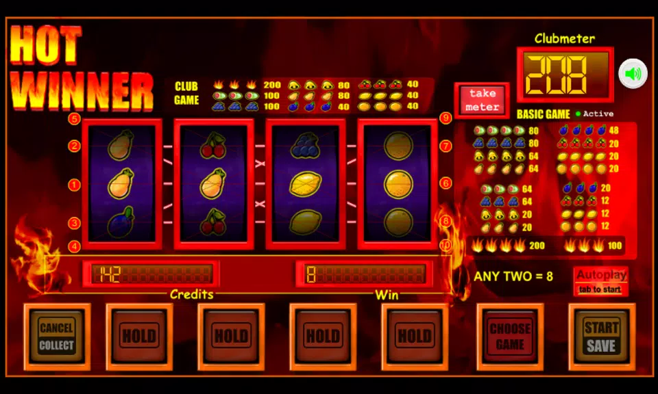 slot machine hotwinner  Screenshot 2