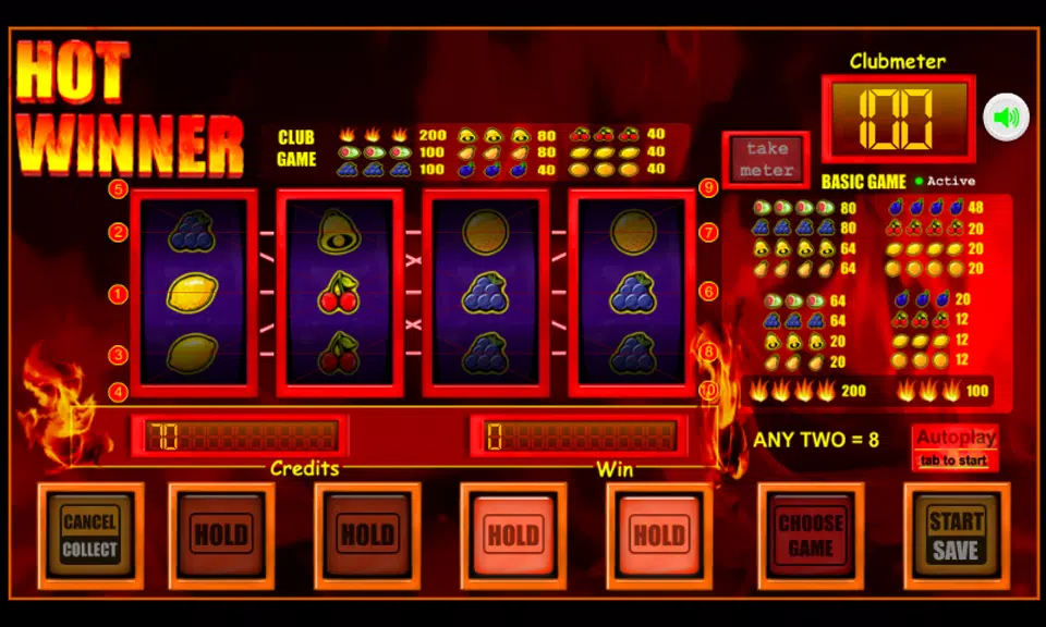 slot machine hotwinner  Screenshot 1