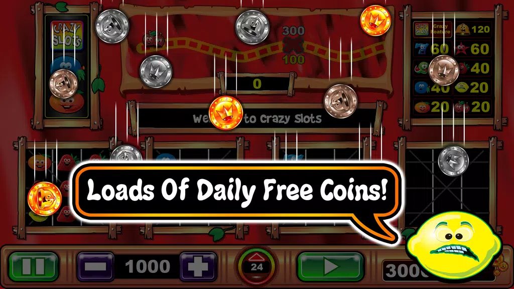 Crazy Slots Adventure  Screenshot 3