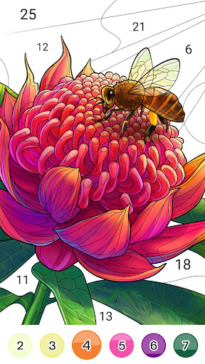 Color Up - Color By Number  Screenshot 3