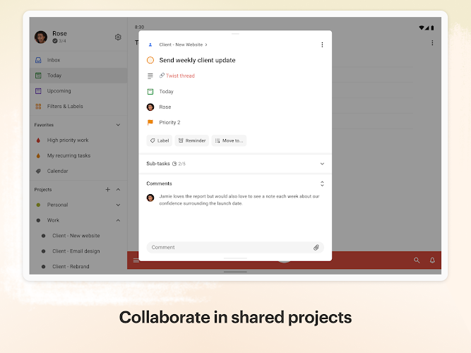 Todoist: to-do list & planner Mod  Screenshot 10