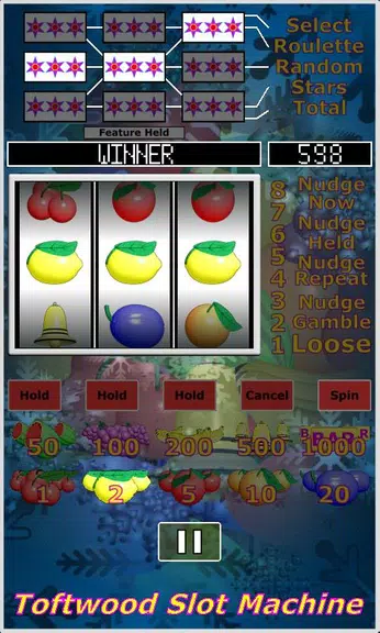 Slot Machine. Casino Slots.  Screenshot 4