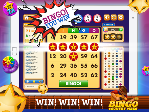 Bingo Country Vibes-Live Games  Screenshot 1