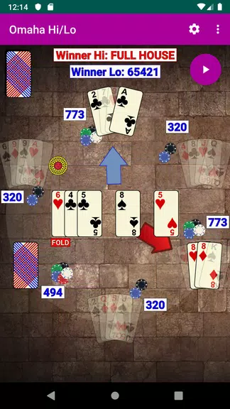 Omaha Hi/Lo Poker  Screenshot 4