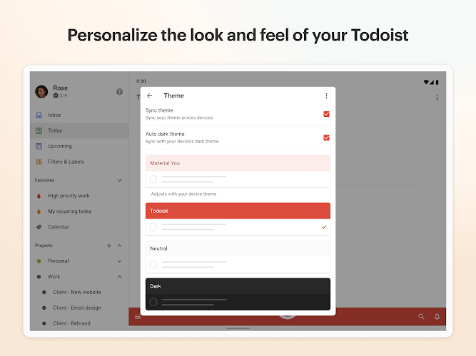 Todoist: to-do list & planner Mod  Screenshot 11