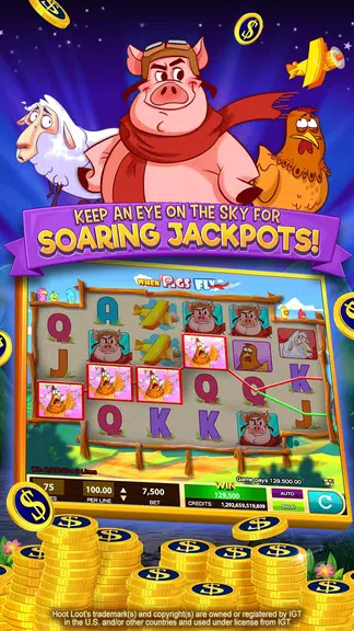 Hoot Loot Casino - Fun Slots!  Screenshot 2