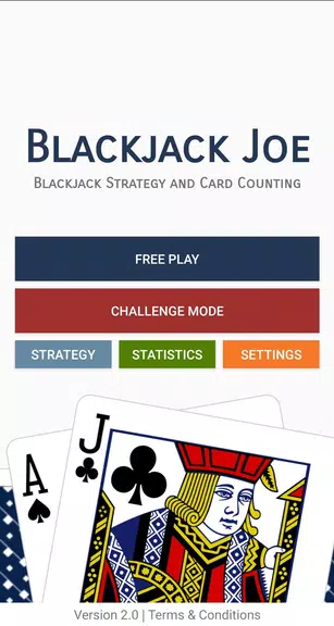 Blackjack Joe Strategy Trainer  Screenshot 1