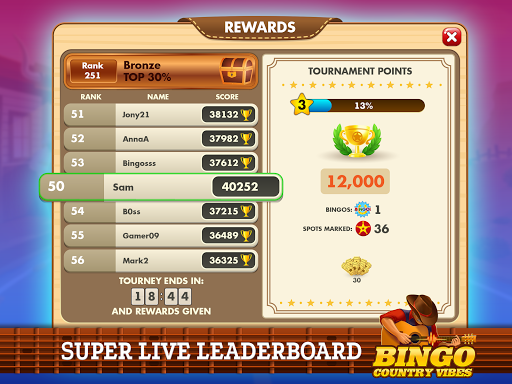 Bingo Country Vibes-Live Games  Screenshot 3