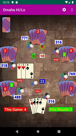 Omaha Hi/Lo Poker  Screenshot 3