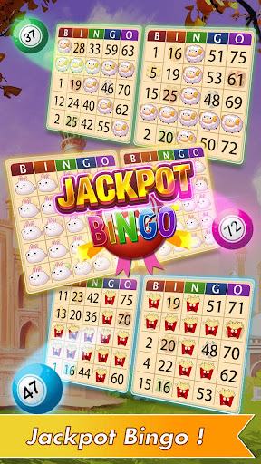 Bingo Hero Offline Bingo Games  Screenshot 3