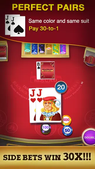 Blackjack 21 - Black Jack Game  Screenshot 3