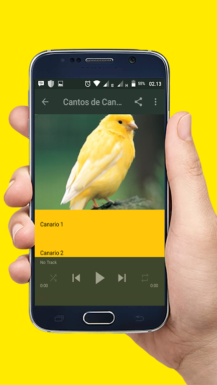 Cantos de Canario Mp3  Screenshot 3