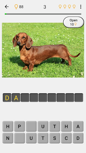 Dogs Quiz - Guess Popular Dog Breeds on the Photos  Screenshot 3