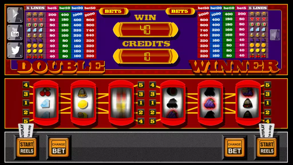 slots - Double Winner  Screenshot 2