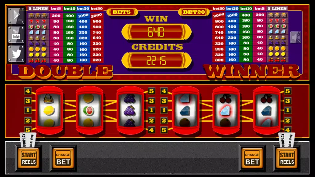 slots - Double Winner  Screenshot 1