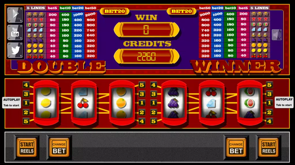 slots - Double Winner  Screenshot 3