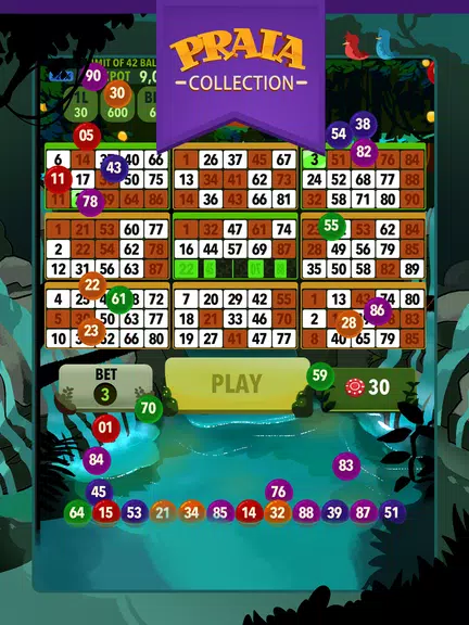 Video Bingo Ubatuba  Screenshot 4