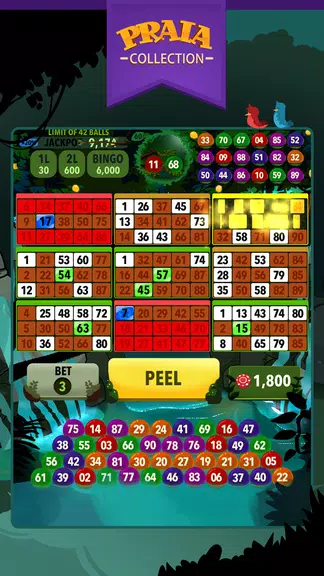 Video Bingo Ubatuba  Screenshot 2