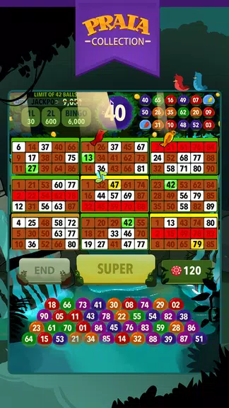 Video Bingo Ubatuba  Screenshot 3