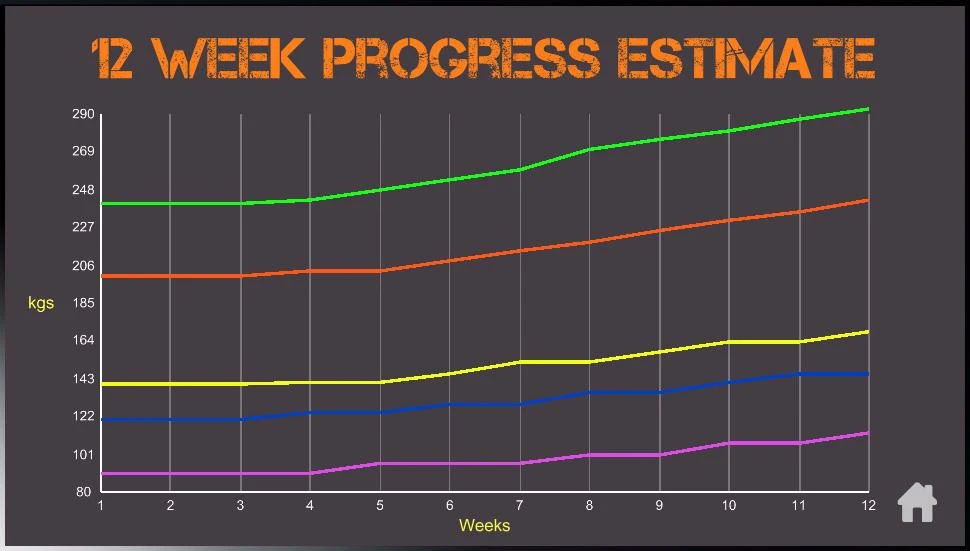 Madcow 5x5 program  Screenshot 2