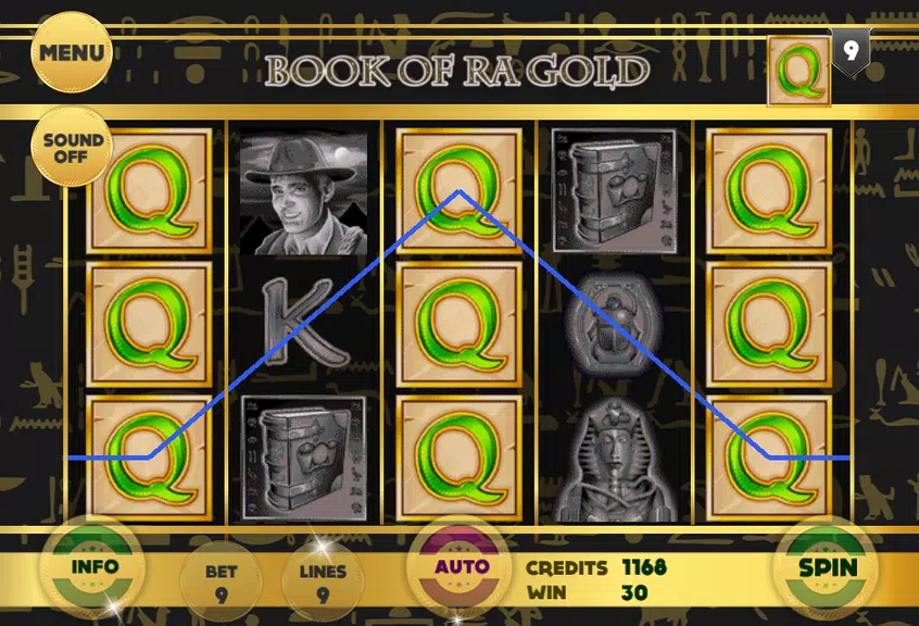 Book of RA Gold Slot  Screenshot 3