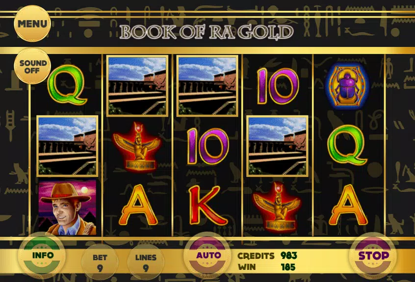 Book of RA Gold Slot  Screenshot 2