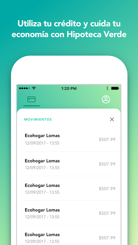Hipoteca Verde  Screenshot 3
