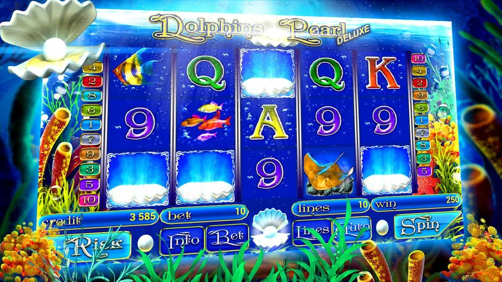 Dolphins of the pearl sea slot  Screenshot 3