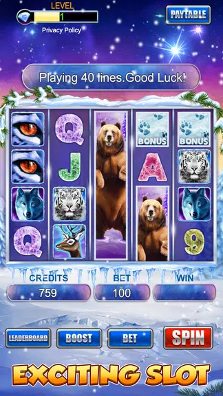 Slot Machine: Bear Slots  Screenshot 1