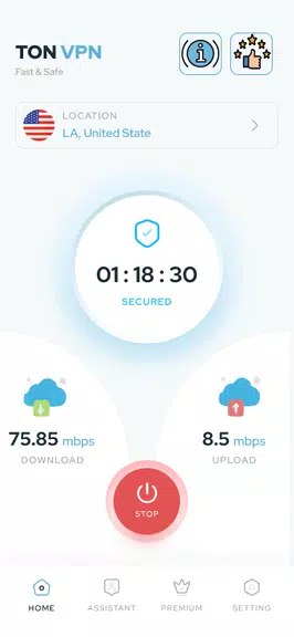 Ton VPN: Secure & Fast  Screenshot 3