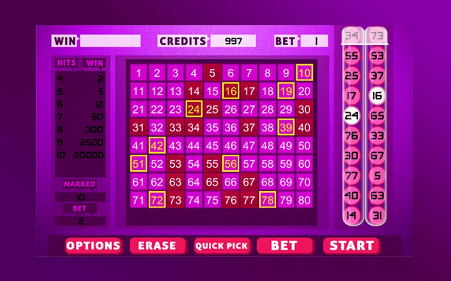 Keno Bingo  Screenshot 4