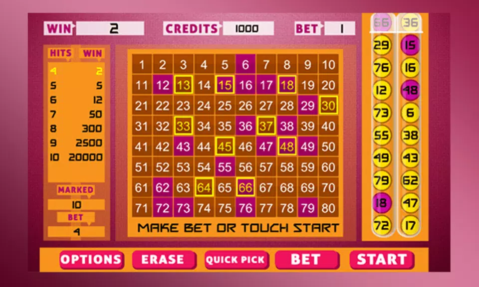 Keno Bingo  Screenshot 2