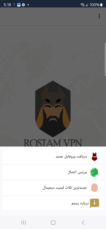 RostamVPN: VPN Fast & Secure  Screenshot 3