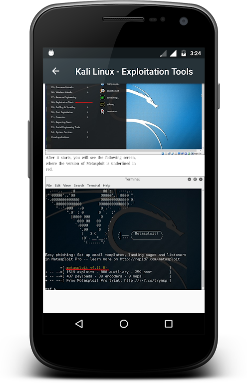 Kali Linux  Screenshot 3