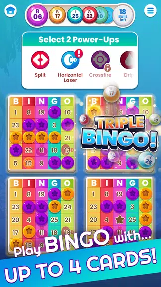 Bingo: Fun Bingo Casino Games  Screenshot 1