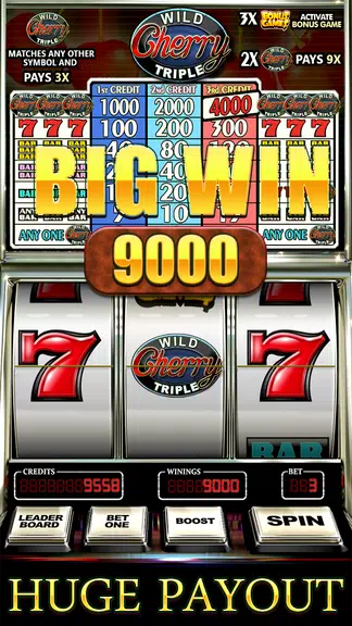 Wild Triple Cherry Slots Free  Screenshot 2