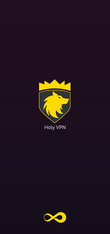 Holy VPN: Express Proxy VPN  Screenshot 1