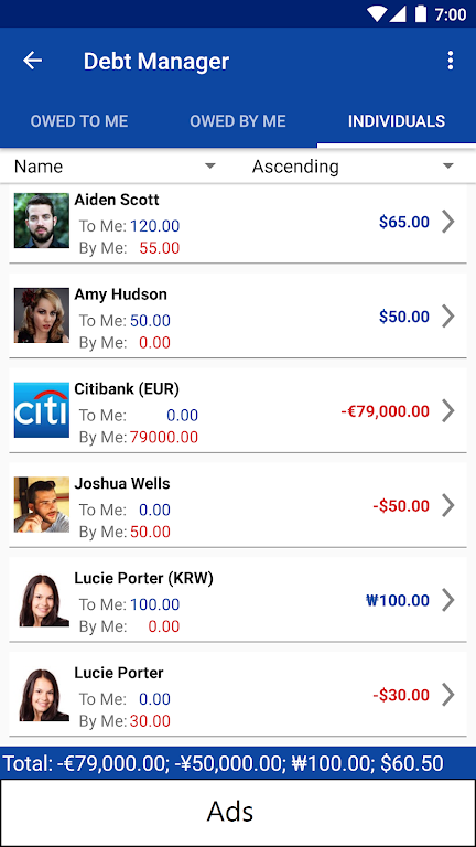 Debt Manager and Tracker  Screenshot 2